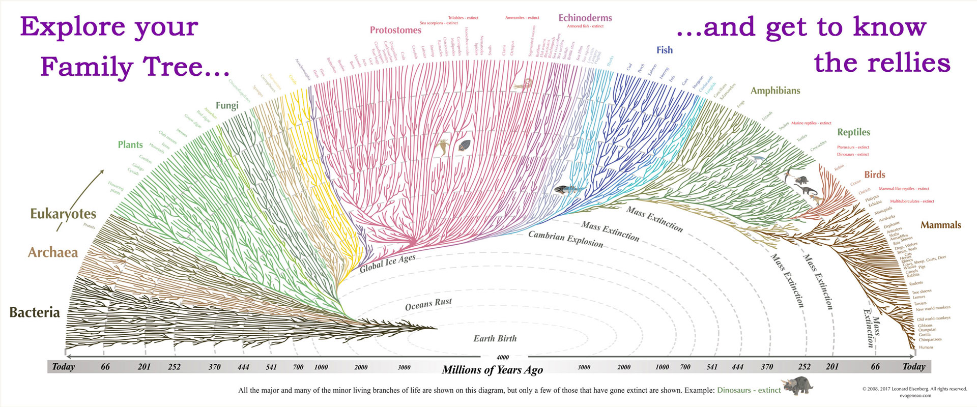Darwin Evolution Chart