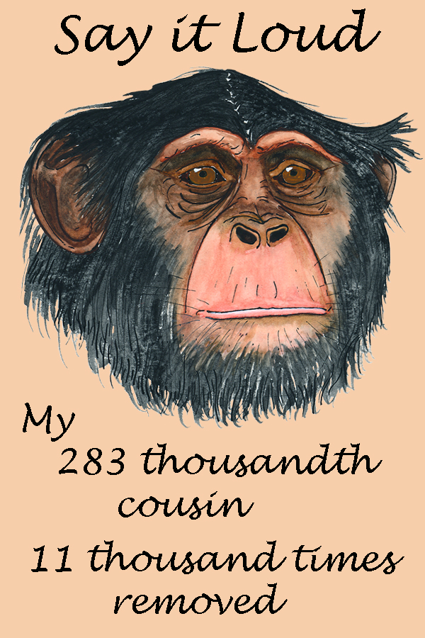 Chimp