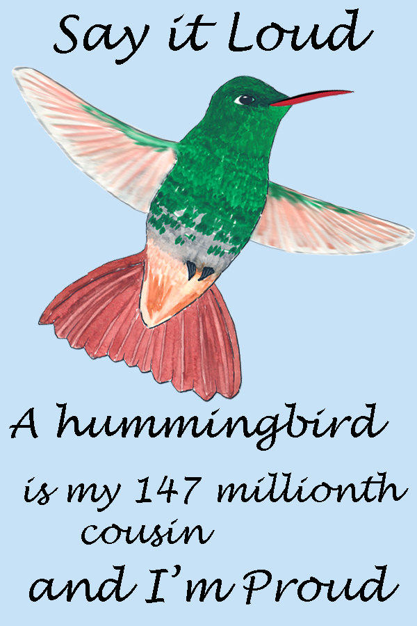 Hummingbird