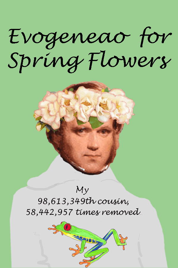 04 24