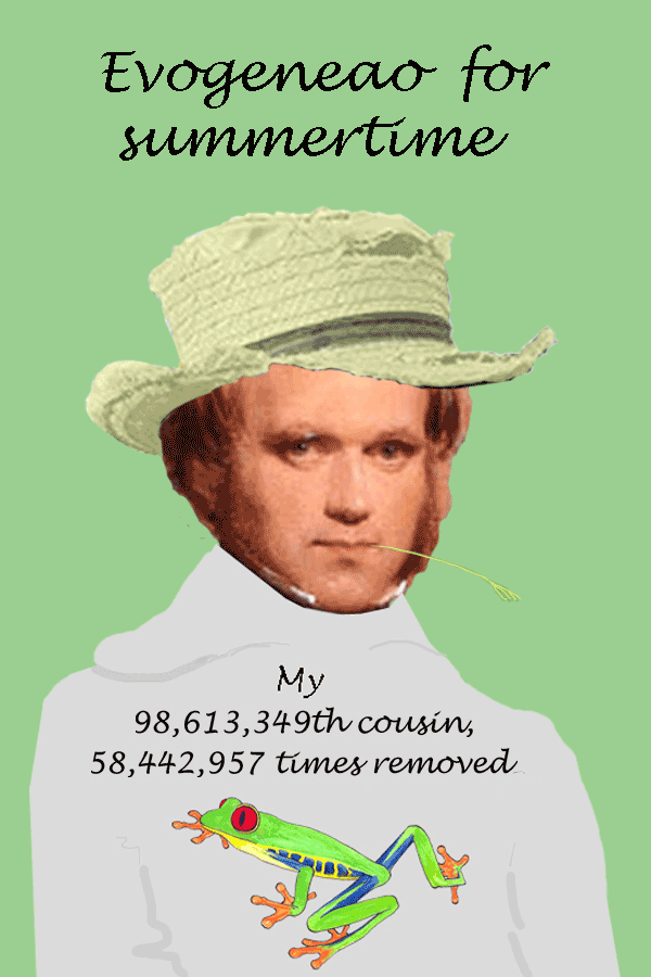07 06